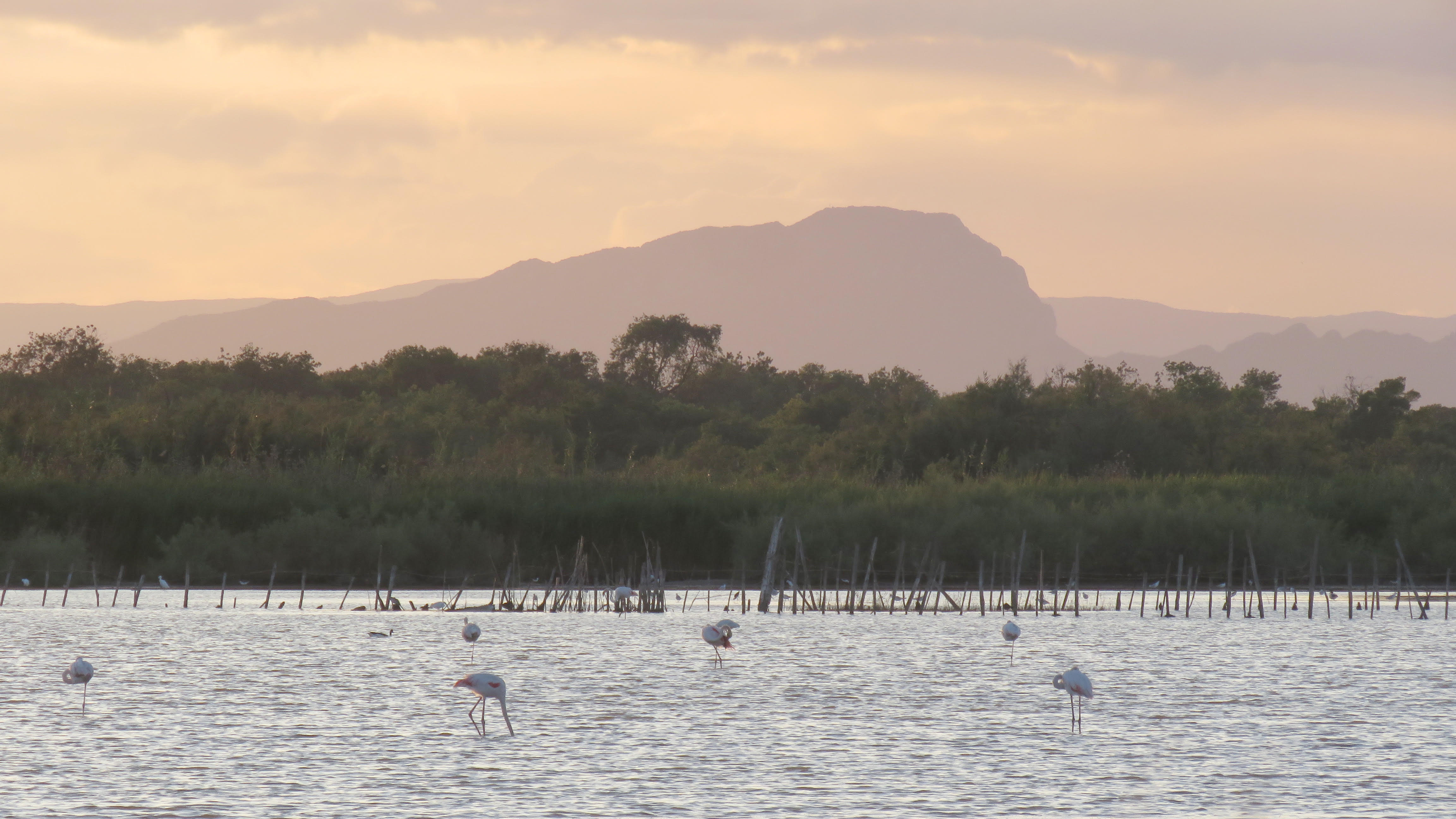 Pic Saint Loup